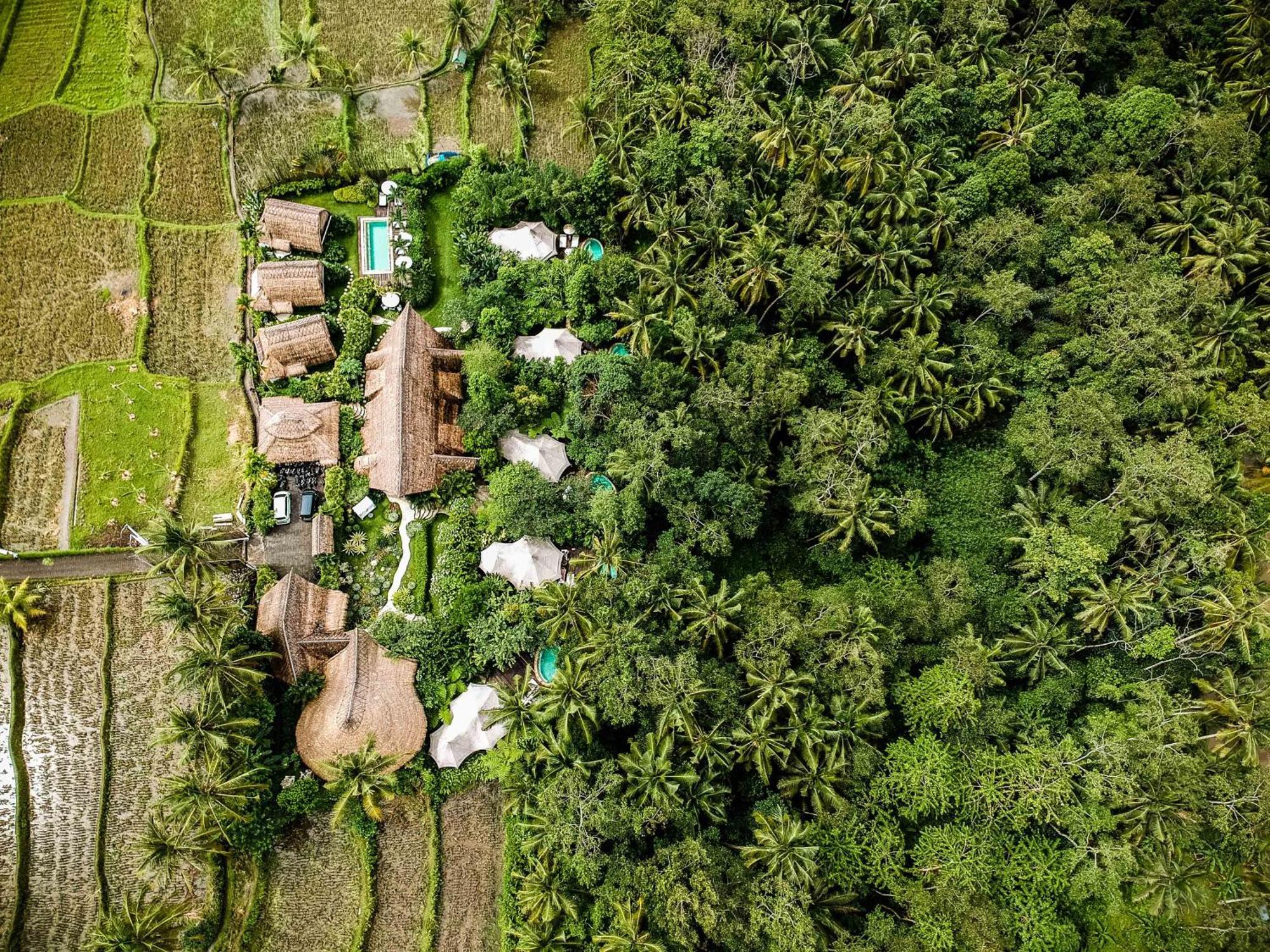 Sandat Glamping Tents Ubud Buitenkant foto