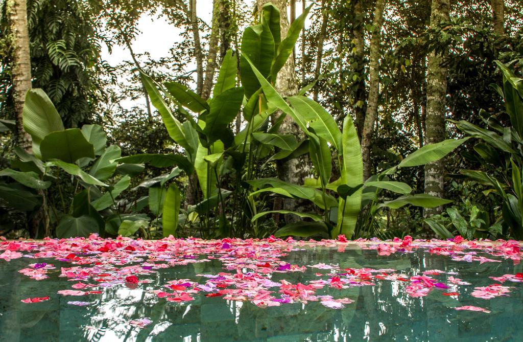 Sandat Glamping Tents Ubud Buitenkant foto